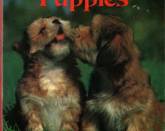 Puppies a Golden Book + 1982 + Vintage Kids Book