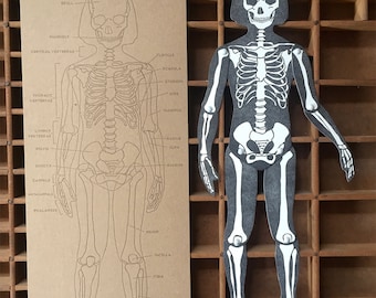 letterpress Skeleton articulated figure