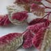Vintage 60s-70s Velvet Leaves,Antique branch of velvet leaves,Velvet foliage garnish,Vintage millinery, pink and green velvet leaf,applique