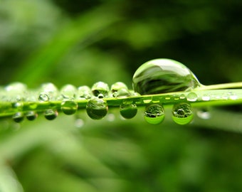 Water droplets greetings card