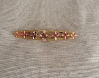 1910's enameled horn brooch