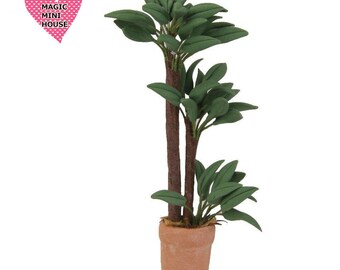 Miniature Plant in Pot