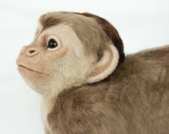 Made to Order Life-Sized Needle Felted Capuchin Monkey: Custom needle felted animal sculpture