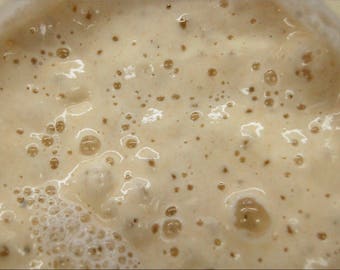 Ancient Einkorn Sourdough Starter