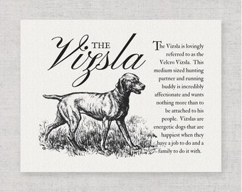 Vizsla Typography Wall Art Print on Canvas Paper With Dog Breed Dictionary Style Definition - Dog Lover Gift - Home Decor Artwork