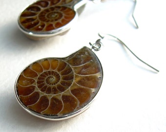Small Ammonite Earrings, Science Geek Jewelry, Fossil Gifts for Geologists