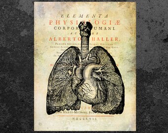 LUNGS PRINT Anatomy Vintage Art Anatomical Drawing Aged Anatomy Poster Scientific Illustration Medical Wall Decor Doctor Gift Clinic Decor