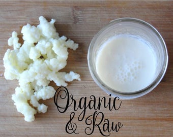 Organic Raw Milk Kefir Grains from Grass Fed Cows - Satisfaction Guaranteed!