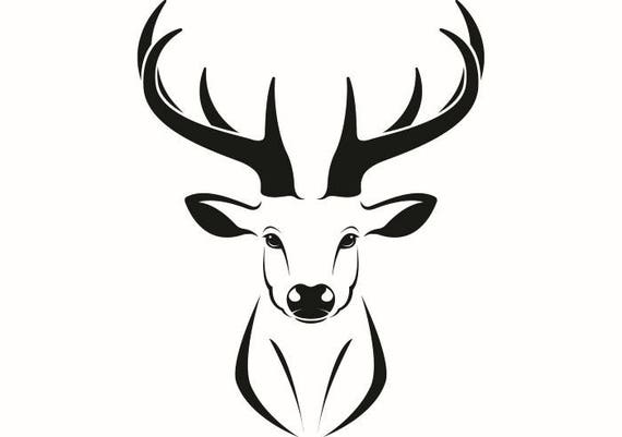 Download Deer 1 Buck Antlers Points Whitetail Fawn Hunting Hunt Game