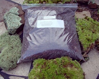 Terrarium soil-Smaller bag organic soil-Sandwich bag 6x6 full