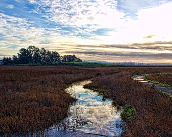 Morning in Shollenberger