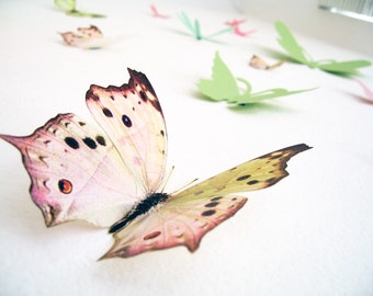 15 3D Wall Butterflies,3D Butterfly Wall Art, Decoration, Pink, Green, 3D Wall Decor,Nursery, Baby, Wedding Decor, Baby Shower, Girls Room