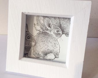 Little bunny, box-framed, limited edition print 'Harbinger of Spring' 2018