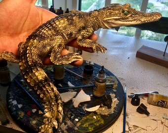 crocodile replica frame