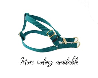Dog Harness in Teal and Gold, Nylon Webbing Step in Dog Harness, Pet Harness, Metal Buckle and Hardware