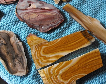 Oregon Petrified Wood And Jasper Rock Slab Assortment