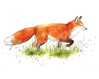 Image result for fox stalking chickens