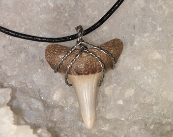 Fossilized Shark Tooth Necklace