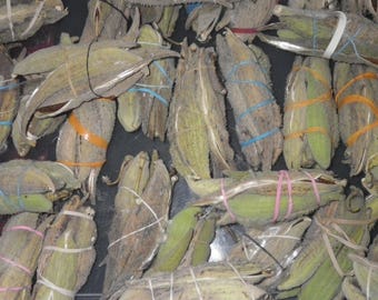 Pods Common Milkweed Dried Seeds Fluff Organic Stratified Free Shipping