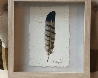 Red-Tailed Hawk Feather, ORIGINAL ART.