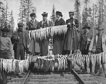 Seward, Alaska - View of Men and Women with their Huge Trout Catch (Art Prints available in multiple sizes)