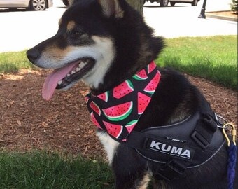 ON SALE Tie-on Dog Bandana in Watermelon and Pawprints - XS/S/M/L/Xl