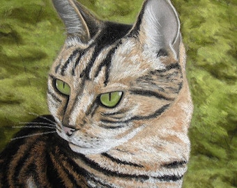 Tabby Cat Portrait in Pastels