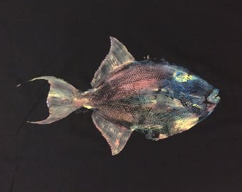 Original Gyotaku Fish Rubbing Trigger Fish