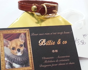 Leather small dog or cat collar