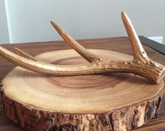 Decorative gold antlers- ASK ABOUT quantity discounts!