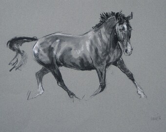 SALE Original horse art equine art energy and movement equine horse charcoal and chalk movement art drawing 'Trot' by H Irvine