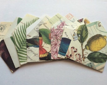 Upcycled Flora and Fauna A2 Envelopes Lined