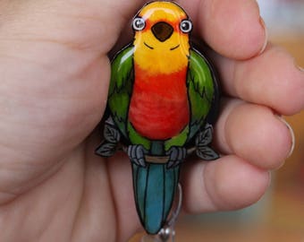 Badge holder Jenday Conure Retractable ID for prepunch badges 33 inch cord HCA CNA Nurse Bird lover gift