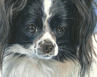 Papillon ORIGINAL ACEO Painting Acrylic