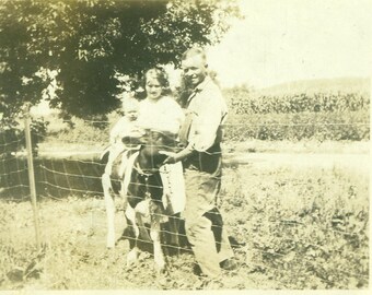 1930s Baby Riding Calf Cow Farm Family Dairy Antique Vintage Black and White Photo Photograph