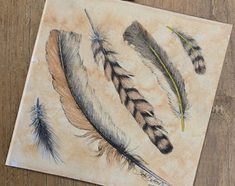 Feathers 5 - original ink and watercolor