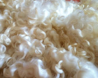 Washed Border Leicester Locks: 4oz