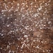 This is a listing for 4 quarts approx. 7-8 lbs of succulent soil. This is the perfect blend for succulent and cactus plants.