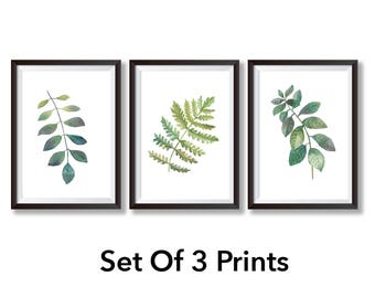 SET Of 3 Botanical Prints - Botanical Art Nature Print Botanical Illustration - Botanical Print Set Botanical Poster - Botanical Art Print