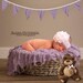 Newborn, Baby, Toddler, Child, Lavender Basket Bear Studio Photography Digital Backdrop Prop for Photographers and PSD Blanket Layer