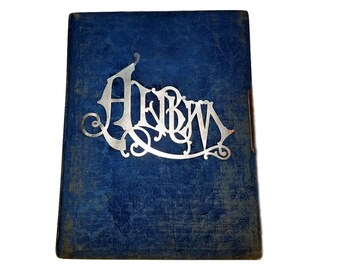1800's Victorian Blue Velvet Photo Album Antique Photo Album Cabinet Card Album Metal Clasp Solid Binding