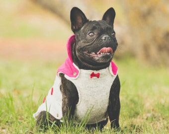 Aspen Peacoat - Dog Fashion | Pet Streetwear | Pet Clothing | Dog Clothing