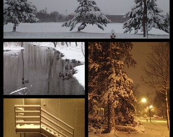 Urban Landscapes: April Snowstorm