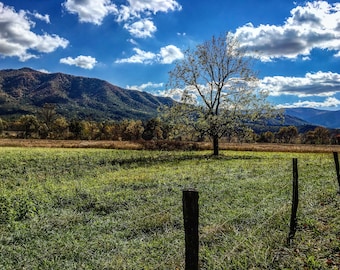 Blue Sky in Cades Cove