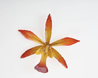 REAL Cattleya Orchid Pin/Pendant Large.FREE Holiday SHIPPING!