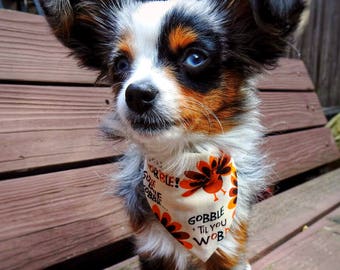 Gobble Till You Wobble Dog Bandana, Pet Bandana for Dogs and Cats with Turkeys and Gobble Gobble, Perfect for Fall and Thanksgiving