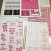 Passion Planner Oops Grab Bag = Classic