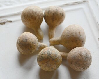 Small Spinning Gourds, Set of 6 Dried Gourds, Small Gourds Great for Craft Projects and Rustic Decor, Dried Spinner Gourds
