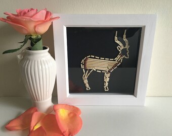 An African Impala
