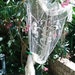 Antique French Net Curtain Large Floral Victorian Off White Needle Filet Curtain Handmade Cotton Panel Fringe Trimmed #sophieladydeparis